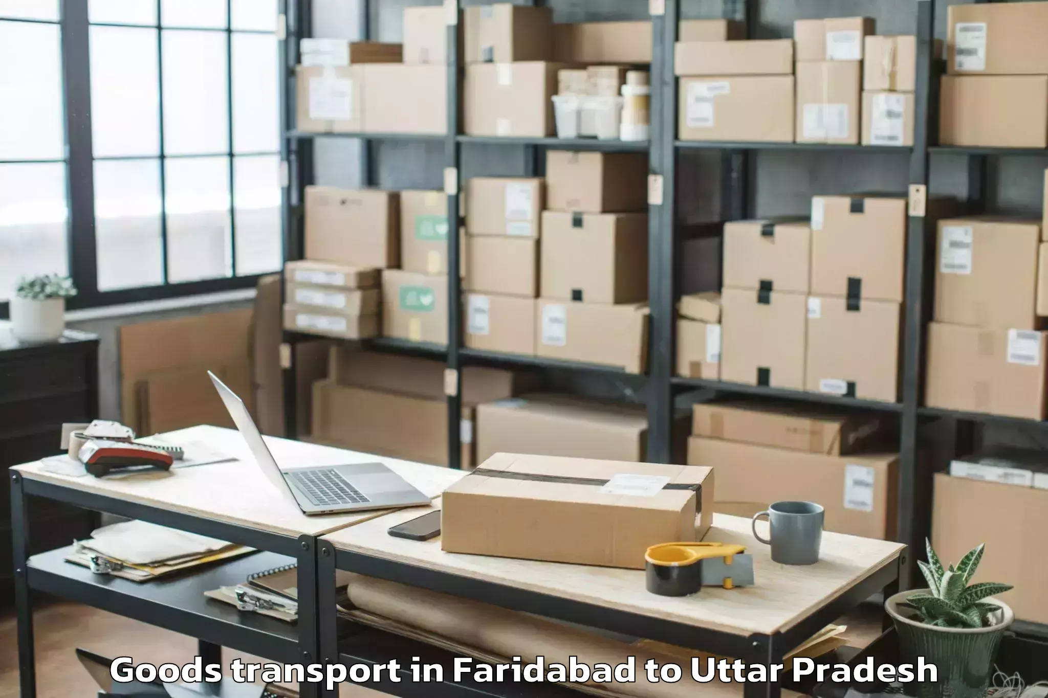 Easy Faridabad to Sahaswan Goods Transport Booking